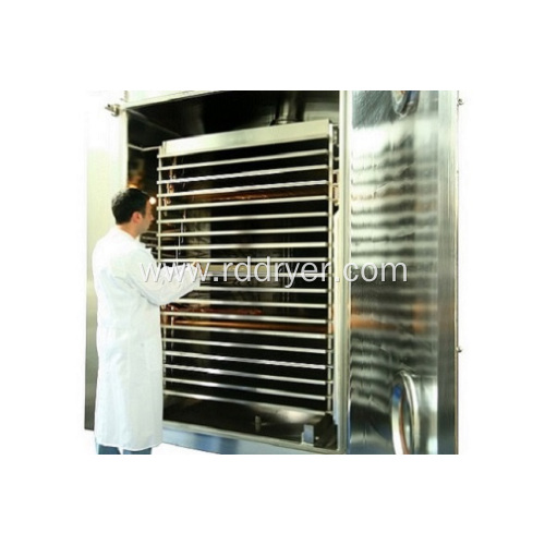 Green beans cryogenic vacuum freeze dryer